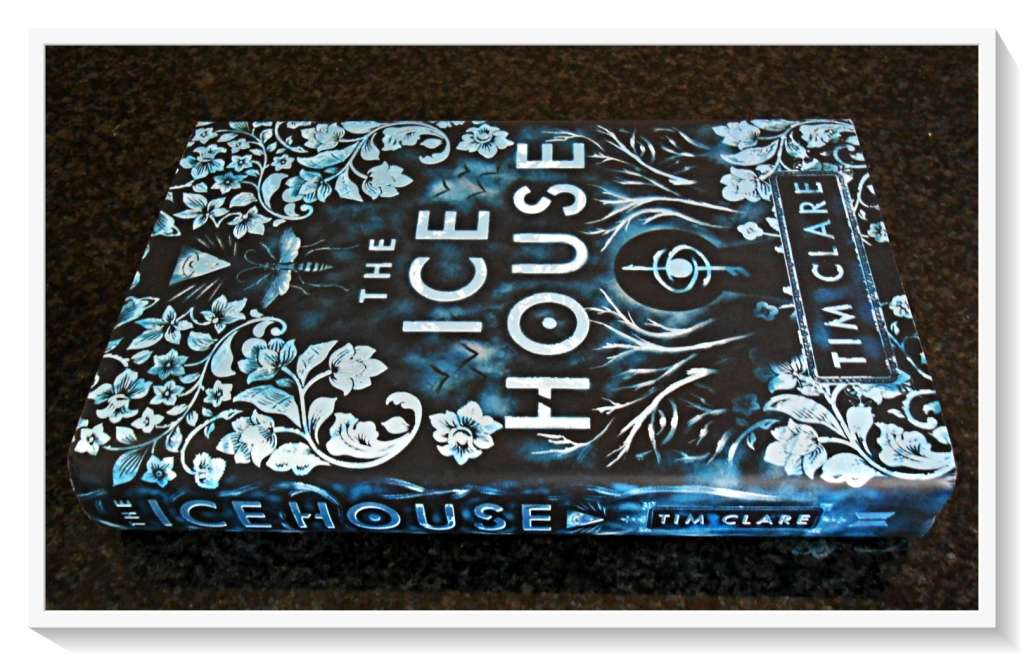 The Ice House by TIM CLARE - 2019 - First Edition Hardcover - Canongate Press - Condition: A+
