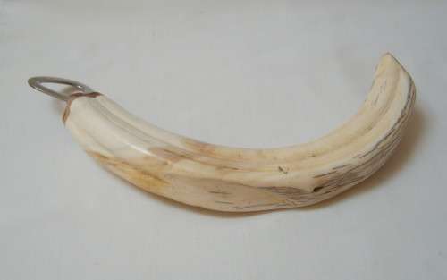 VINTAGE STAINLESS STEEL & WART-HOG TUSK BOTTLE OPENER