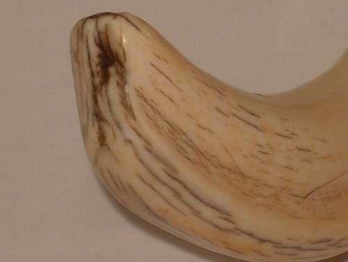 VINTAGE STAINLESS STEEL & WART-HOG TUSK BOTTLE OPENER