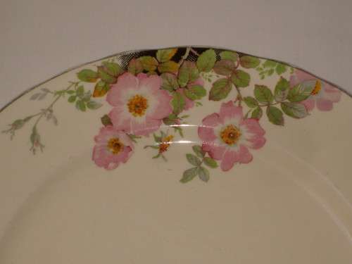 VINTAGE WEDGWOOD 'PINK DOG ROSES' 23cm LUNCHEON PLATE c1952 (3 Available)