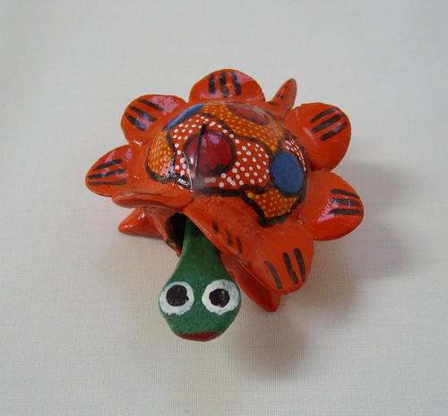 MEXICAN NUT SHELL TURTLE