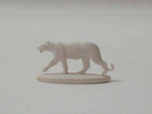 RARE COCA-COLA 'ANIMALS OF AFRICA' ~ LEOPARD c1961