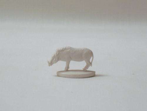 RARE COCA-COLA 'ANIMALS OF AFRICA' ~ WARTHOG c1961