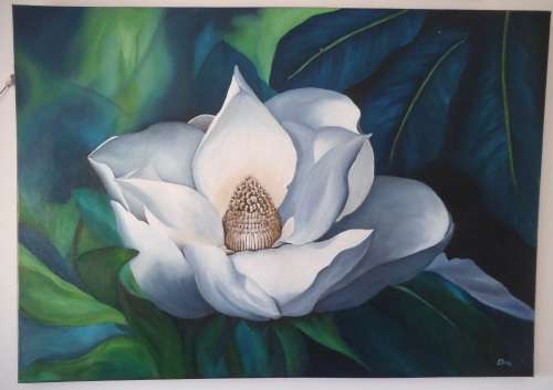Magnolia - 84,5 x 60cm