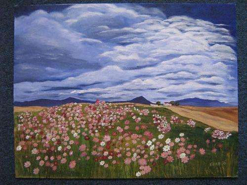 Cosmos Country by Eliza - Unframed 460 x 360