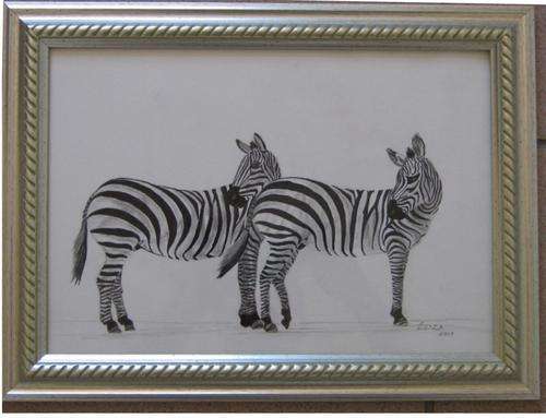 Pair of Zebras Framed 34.5cm x 26cm by Eliza