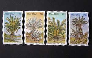 TRANSKEI Mint Set - Cycads 1980