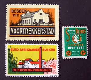 SOUTH AFRICA Cinderellas