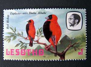 LESOTHO - 1m. Red Bishop - Birds Definitive (Mint) 1981