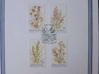 BOPHUTHATSWANA Collector`s Sheet - Indigenous Grasses 1981