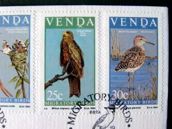 VENDA Cover - Migratory Birds 1984