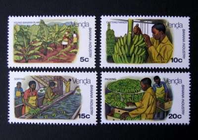 VENDA Mint Set - Banana Cultivation 1980