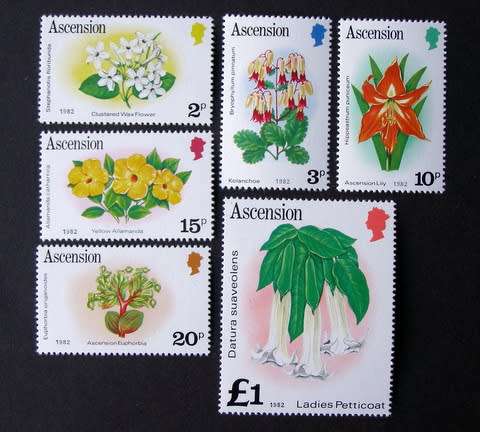 ASCENSION ISLAND Mint - Flowers (Inverted Watermark) 1981