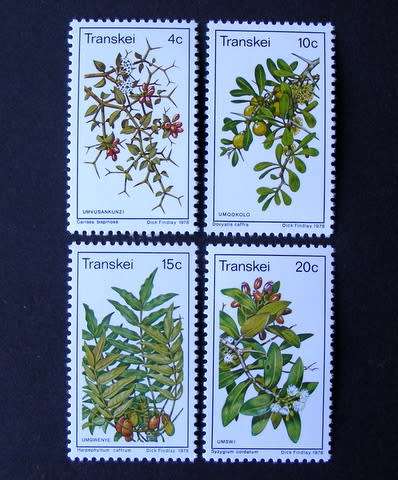 TRANSKEI Mint Set - Edible Wild Fruits 1978