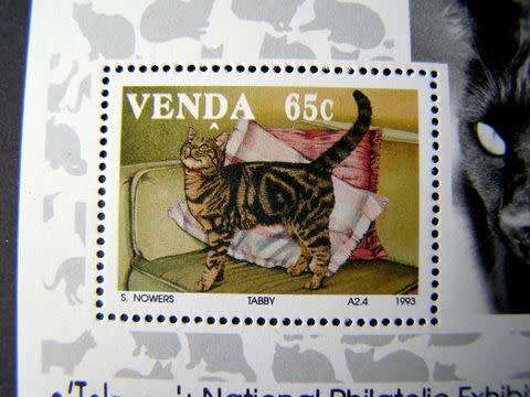 VENDA Mint Miniature Sheet - Cats 1993
