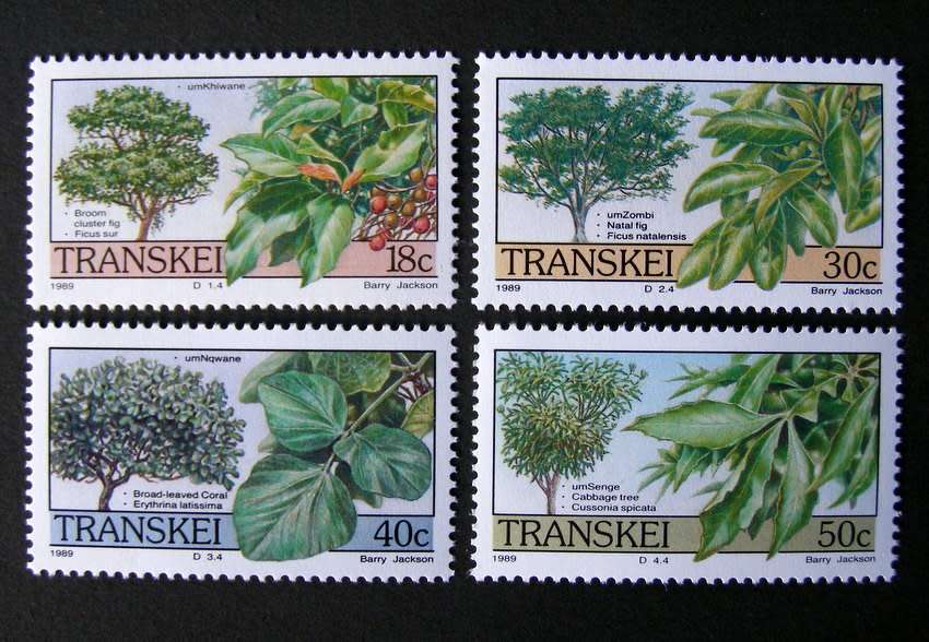 TRANSKEI Mint Set - Indigenous Trees 1989
