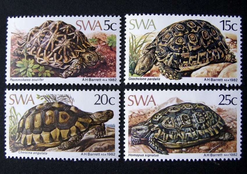 SWA Mint Set - Tortoises 1982
