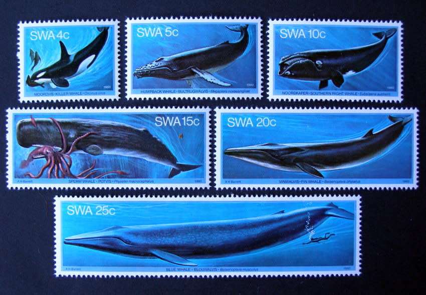 SWA Mint Set - Whales 1980