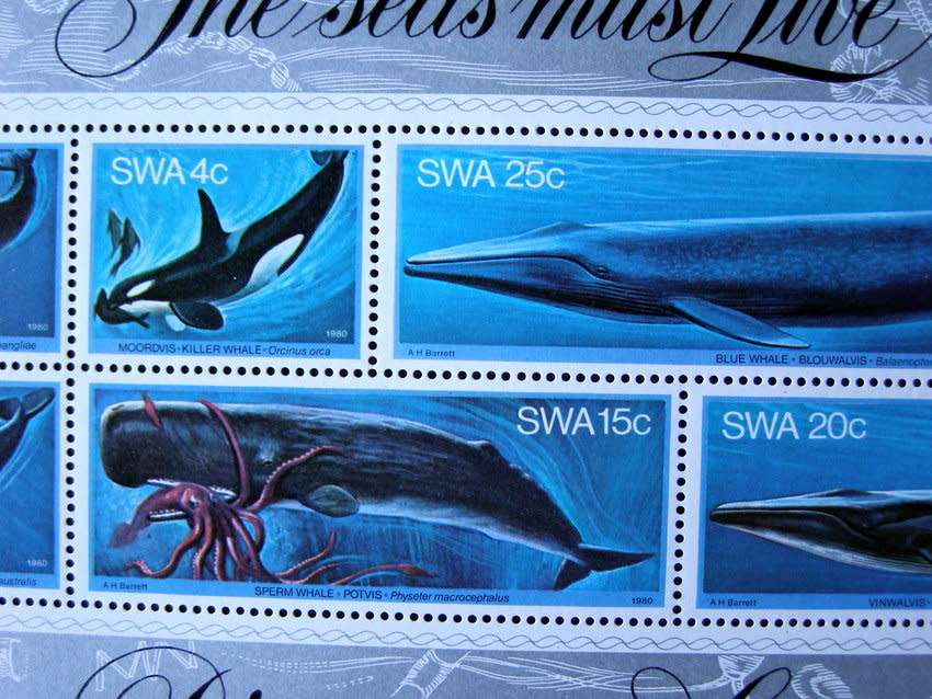 SWA Mint Miniature Sheet - Whales 1980