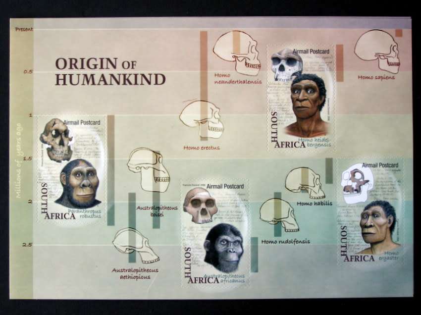 SOUTH AFRICA Mint Set (Self Adhesive) - Origin of Humankind 2006