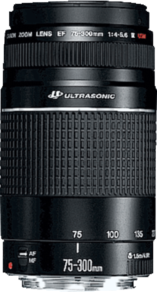 CANON ZOOM LENS EF 75-300mm 1:4 -5.6 III USM - brand new