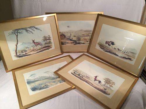 Set of 5 W.C. Harris wildlife prints - all framed in gold behind reflective glass