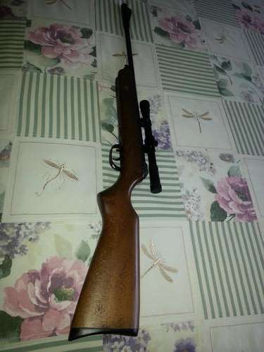 BSA Air rifle
