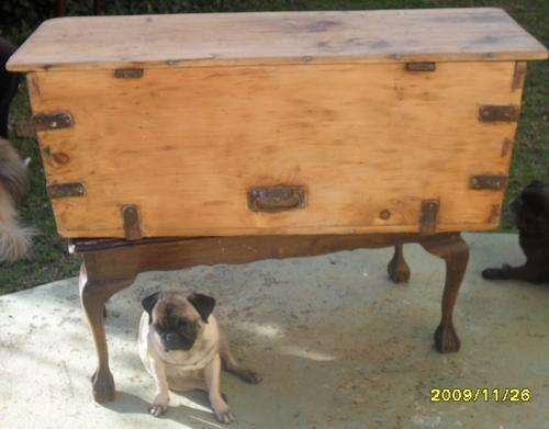 VERY OLD OREGAN PINE KIST