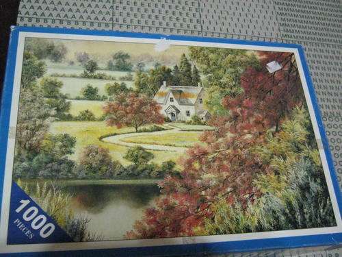 1000 Piece Puzzle (complete)