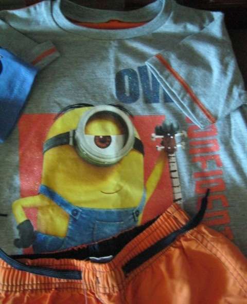 Lot of 5 items. 2 T-shirts (5-6 years), 3 Shorts (2 x 5-6 years, 1 x 4-5 years)NEW.