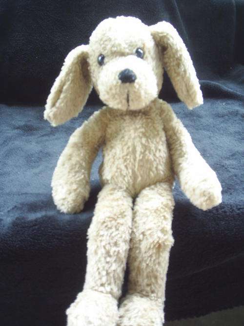 Beanie Bum Commonwealth Puppy (+/- 30cm)