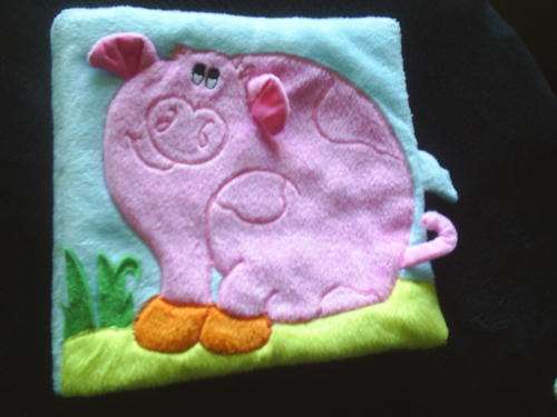 Baby Cloth Book (19cm x 20cm)