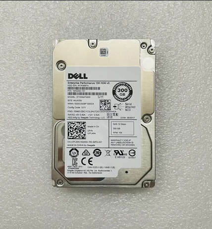 300GB 15k RPM 2.5" SAS