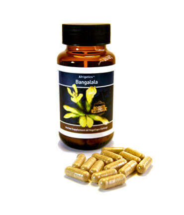 Bangalala 60 caps & Bulbine 60 caps Combo