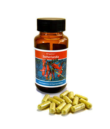 Sutherlandia 60 VCaps (Anti-Viral, Adaptogenic tonic)