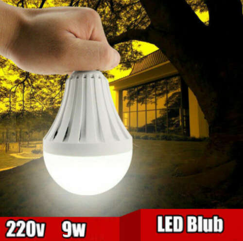 Smart Led rechargeable light bulb. Cool white. Pin type.