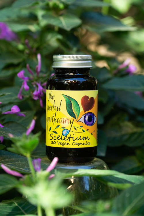 Sceletium - The Natural Way to Manage Anxiety, Depression, and Cognitive Function