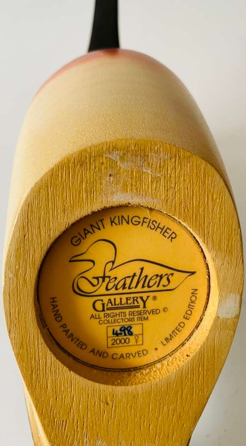 Knysna Feathers Giant Kingfisher (female)