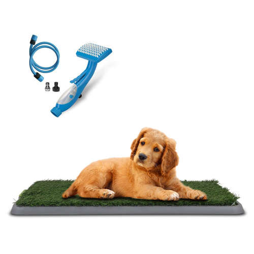 Potty Patch & Pet Brush
