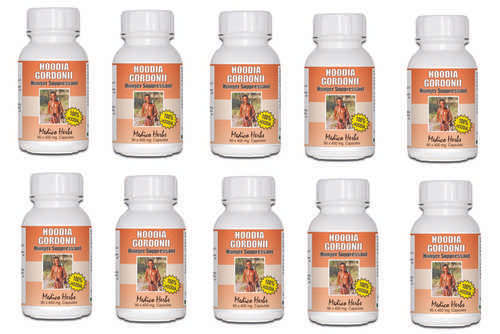 Hoodia Gordonii Slimming BULK BUY 10 BOTTLES 60 x 400mg