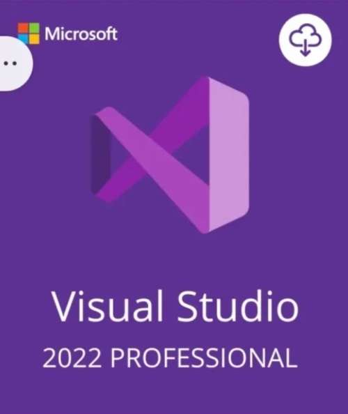 Microsoft Visual Studio Professional 2022