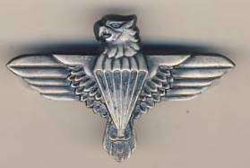 Iron Eagle - 44 Parachute Regiment beret badge