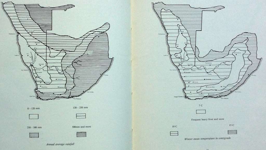 Succulents in the Veld - Rolf Rawe - Hardcover
