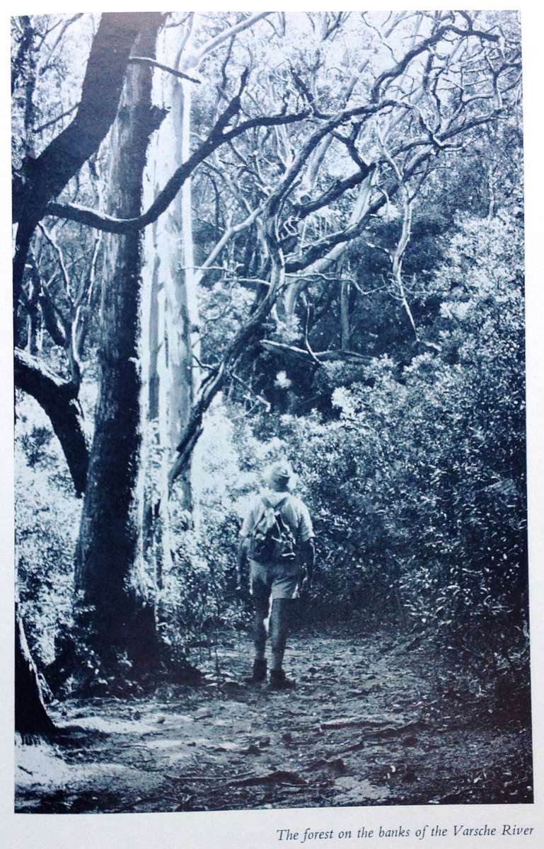 Safe to the Sea - Jose Burman - Hardcover