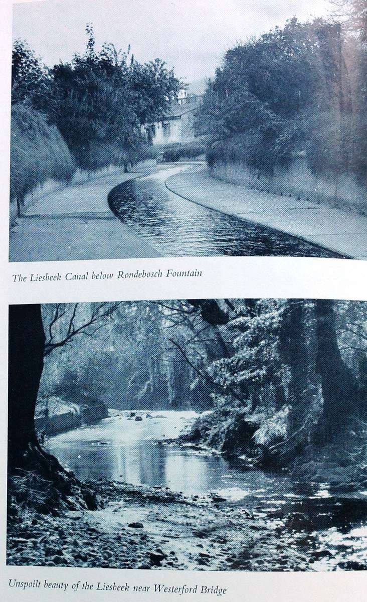 Safe to the Sea - Jose Burman - Hardcover