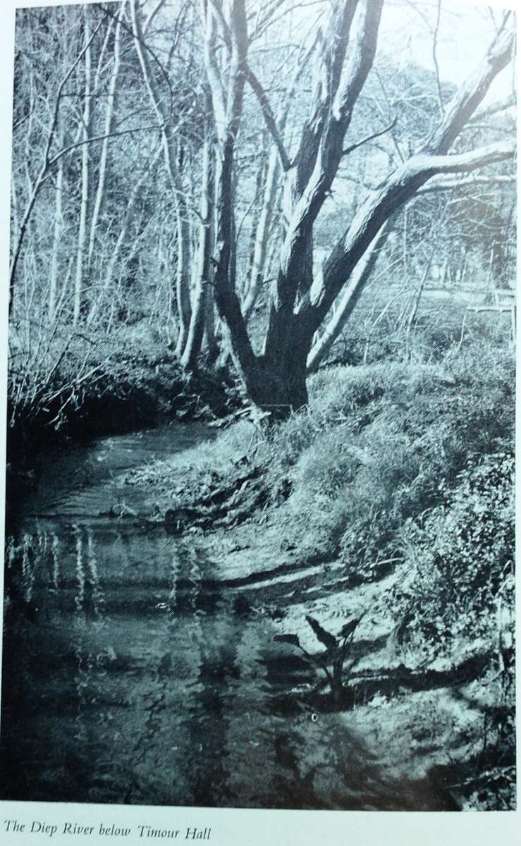 Safe to the Sea - Jose Burman - Hardcover