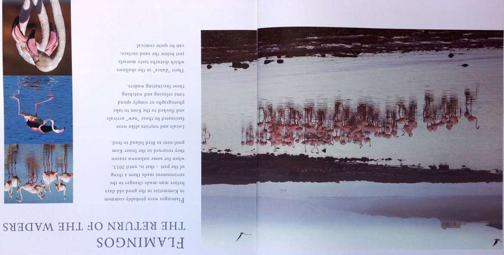 The Story of Kommetjie-A Coastal Village-Hardcover-M Metcalf, D Duffett, R Bain-signed by Authors