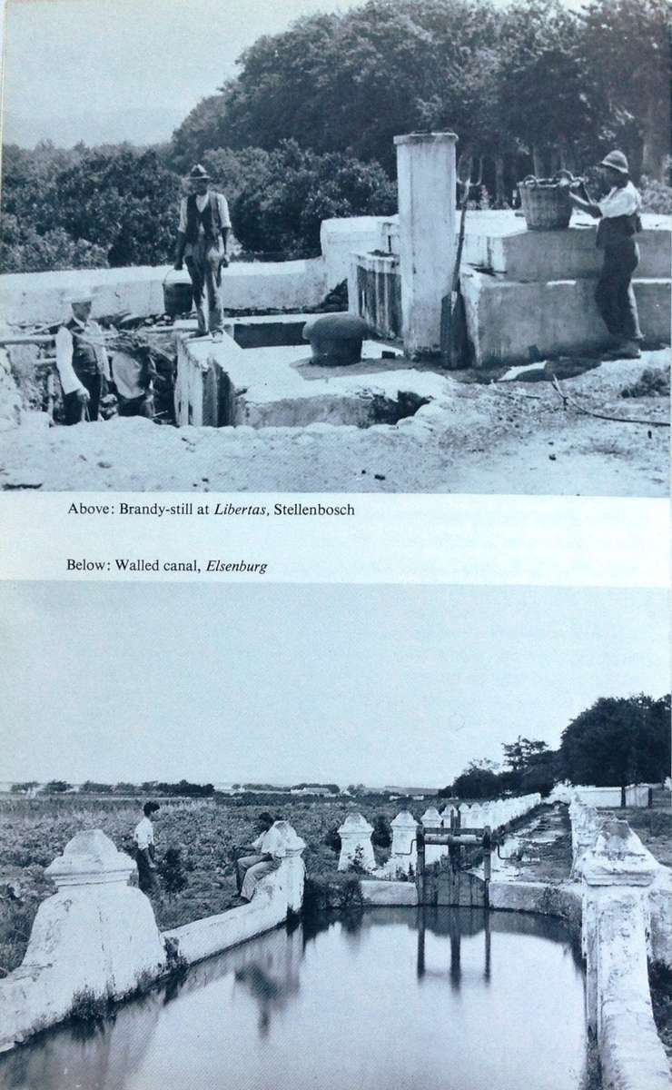 300 Years of Cape Wine - C Louis Leipoldt - Hardcover