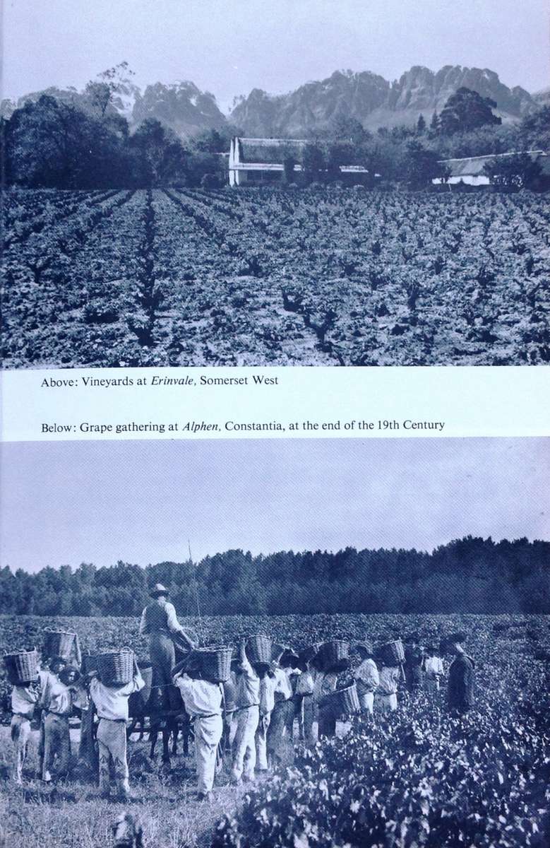 300 Years of Cape Wine - C Louis Leipoldt - Hardcover