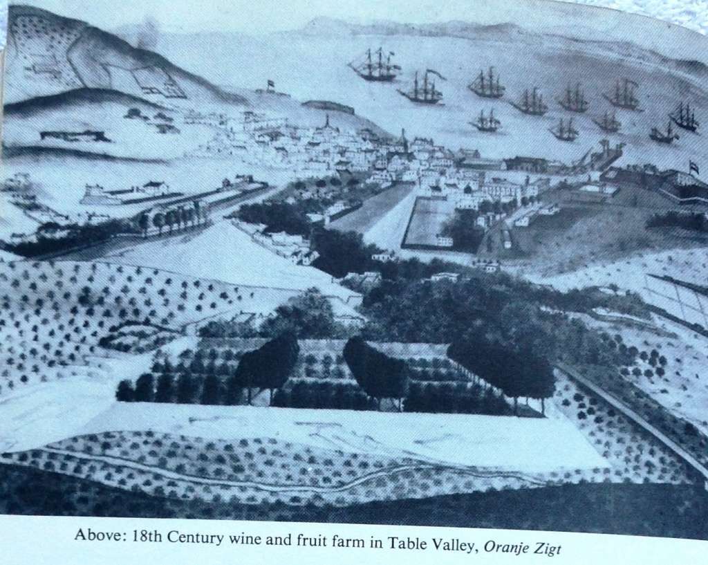 300 Years of Cape Wine - C Louis Leipoldt - Hardcover